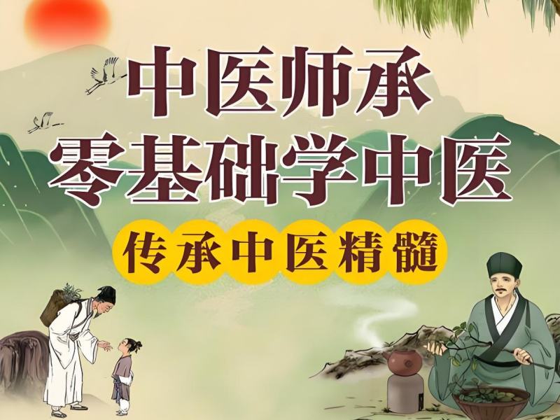 2026 南京中医师承要学什么课程？中医师承培训前五排名一览