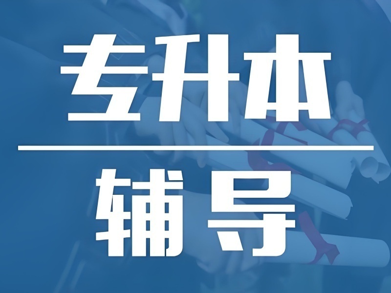 2026合肥专升本培训哪家押题精准？专升本培训机构TOP4排名一览