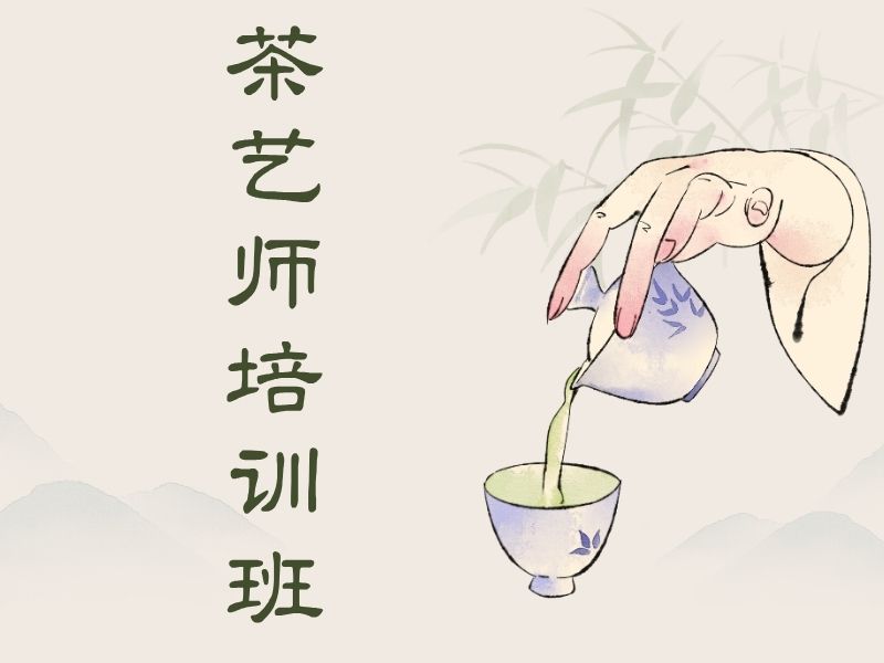  2026深圳附近茶艺培训班哪家好？茶艺师培训班前五排名一览
