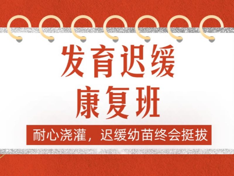 2026重庆发育迟缓康复机构哪家师资专业？发育迟缓康复班前五排名一览