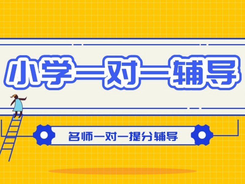 2026杭州小学一对一辅导收费多少？小学辅导班TOP5排名一览