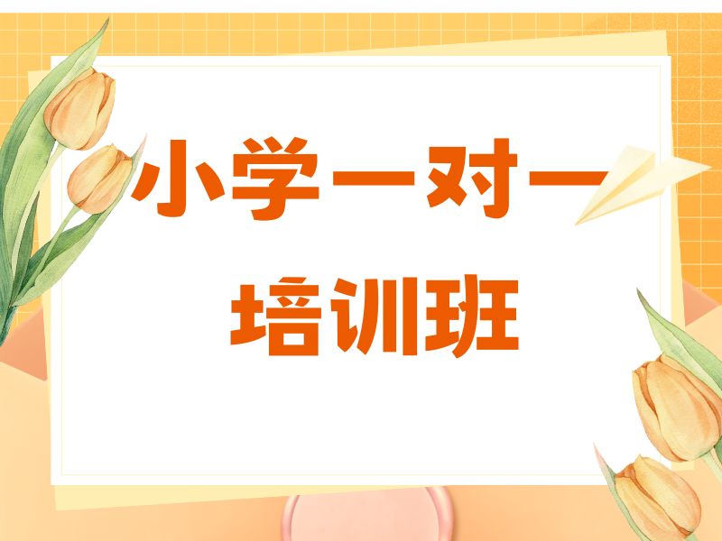 2026杭州小学辅导班哪家比较好？小学辅导班TOP4排名一览