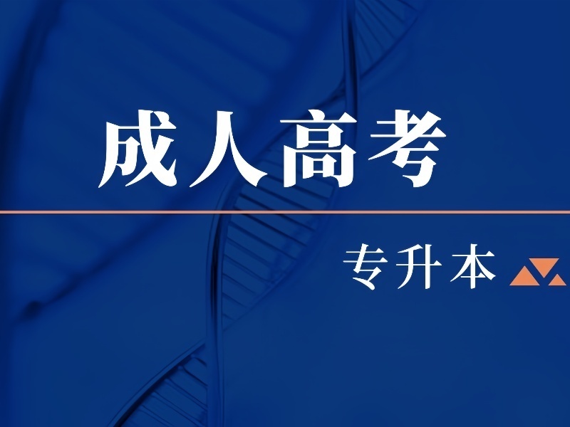 2026合肥成考考前冲刺班哪家专业？培训机构TOP6排名一览