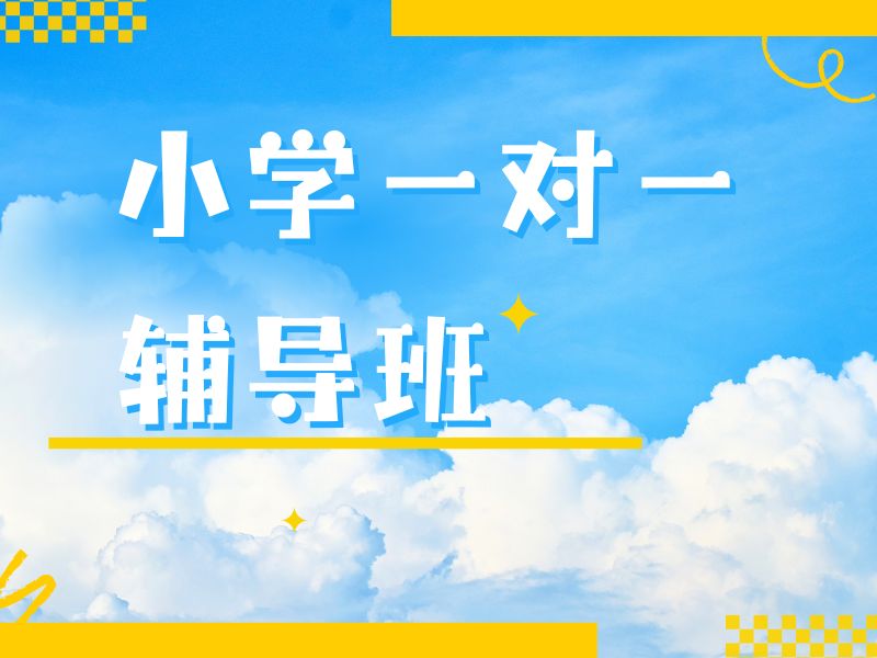 2026南京小学需要补课吗？小学一对一补习班TOP3排名一览