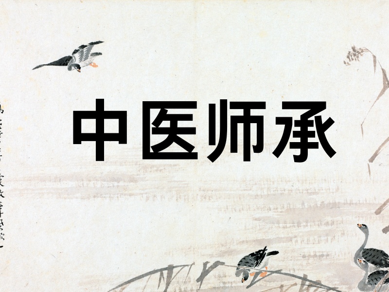 2026西安中医师承培训正规机构有哪些？培训机构TOP3排名一览