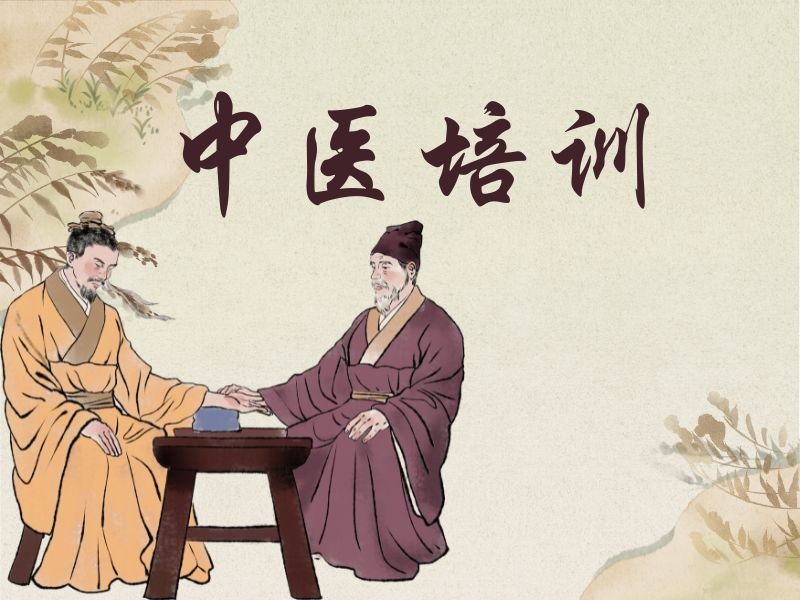 2026西安零基础学中医去哪学好？中医培训机构TOP5排名一览