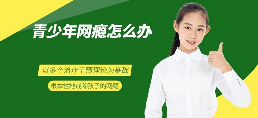 网5.jpg