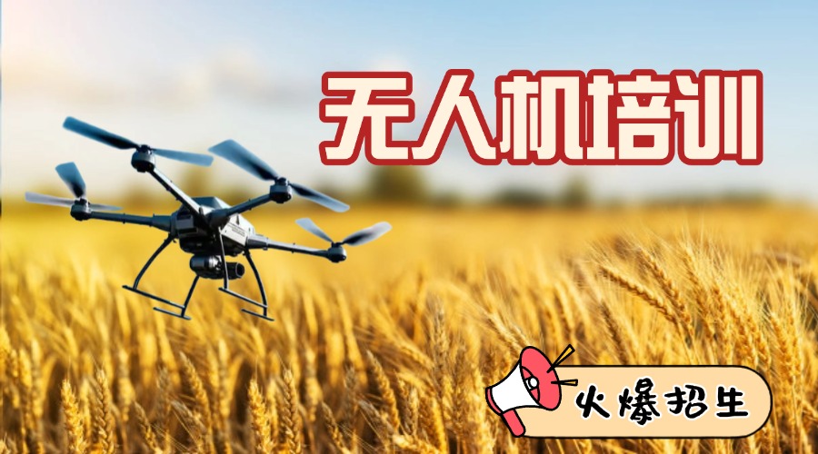 尾5.jpg