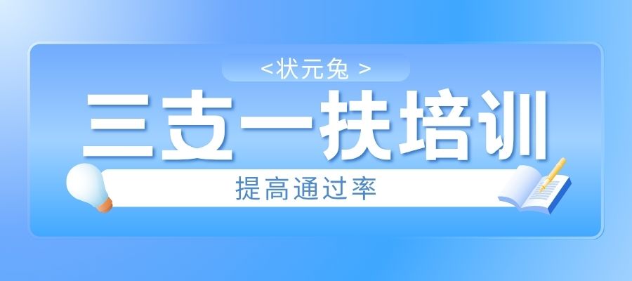 状元兔 .jpg