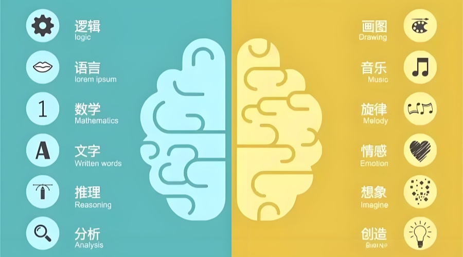 1762175767337372.jpg 内2.jpg