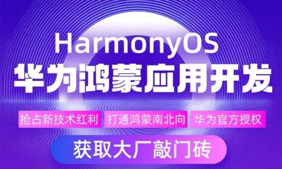 1762414939436043.jpg 17.jpg