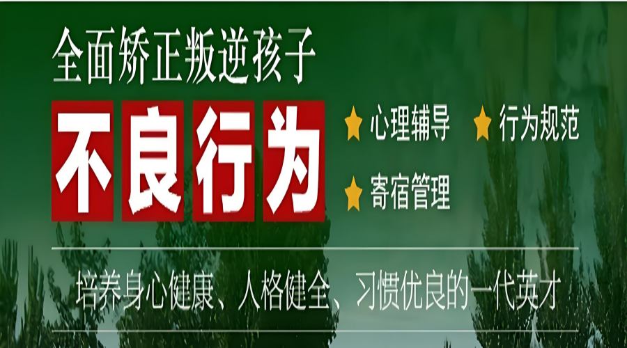 1763168297208427.jpg 41865428-4d0f-4055-85b0-841f3f587255.jpg