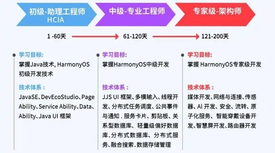 1763263239964821.jpg 6.jpg