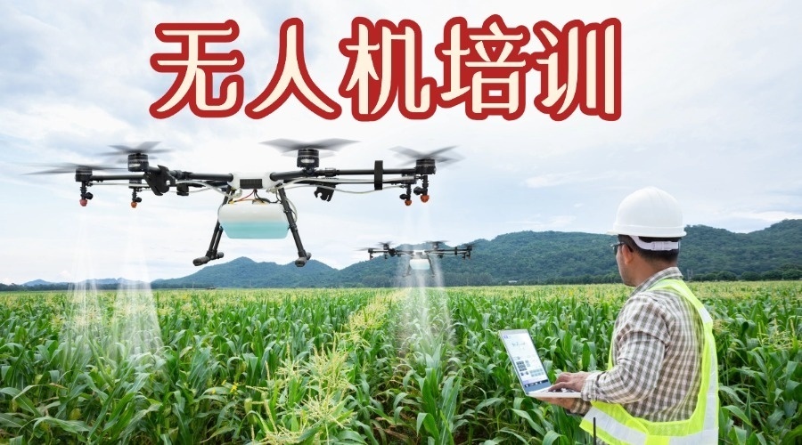 1763974531959420.jpg 12.jpg