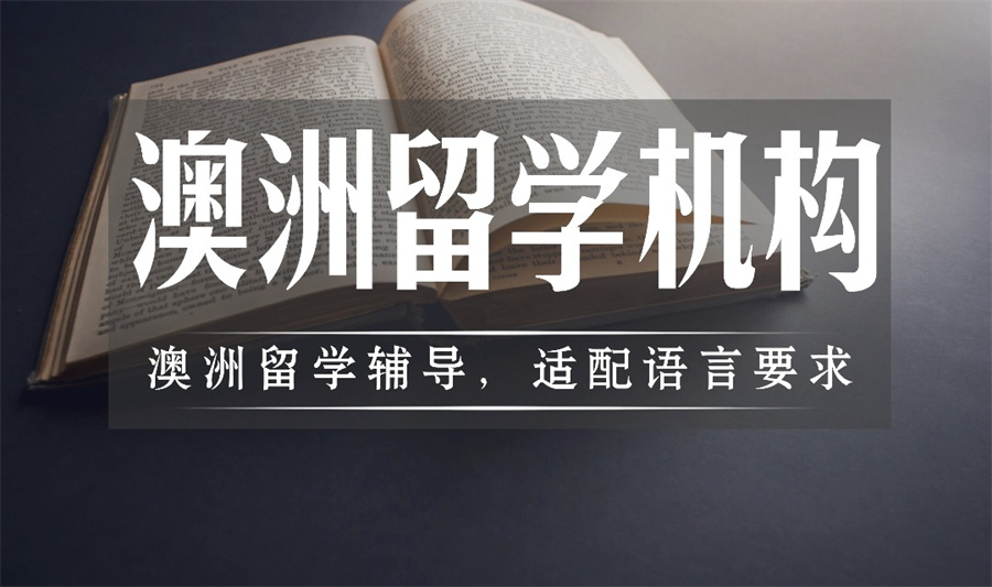 1764317184342684.jpg 内14.jpg