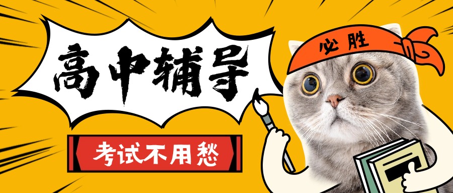 1764820502830856.jpg 内17.jpg