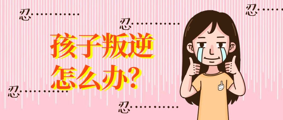 1764844200689200.jpg 内3.jpg