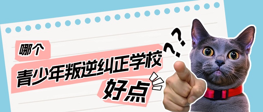 1764844495617168.jpg 内9.jpg