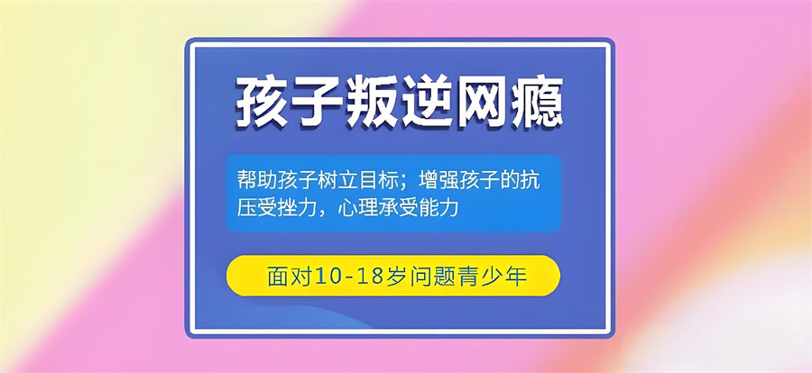 1764907054885671.jpg 内32.jpg