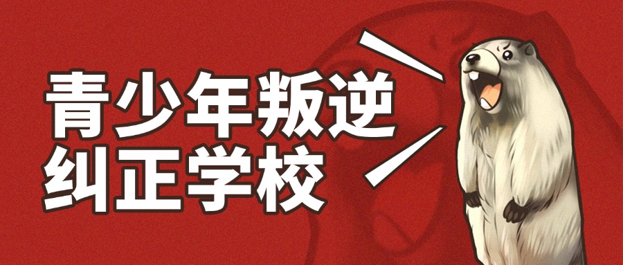 1764908722705557.jpg 内7.jpg