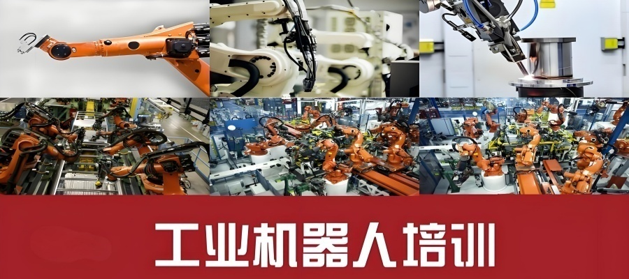 1765343269813459.jpg 15.jpg