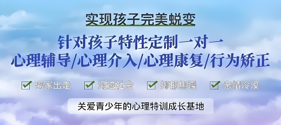 1767863873221994.jpg 0371ba19-499a-445d-802e-ae387fad9494.jpg