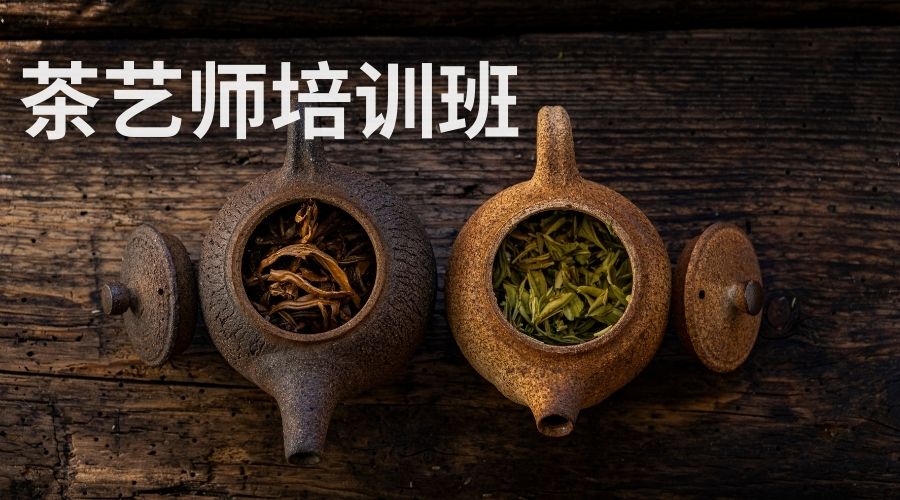 1769593210679307.jpg 茶艺师培训班 (3).jpg