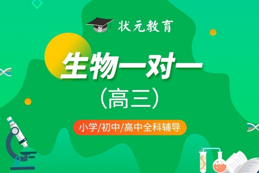 1770009987846390.jpg 31.jpg