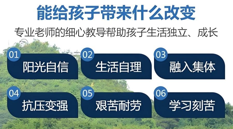 1771760276966291.jpg 1984086d-f51a-4927-91c5-b850f5ed9483_副本.jpg