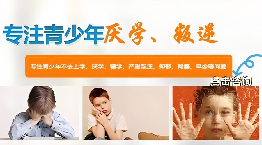1778654899285645.jpg 3ce11e87-fdbe-4e12-bf5b-451f7b88fa28_副本.jpg